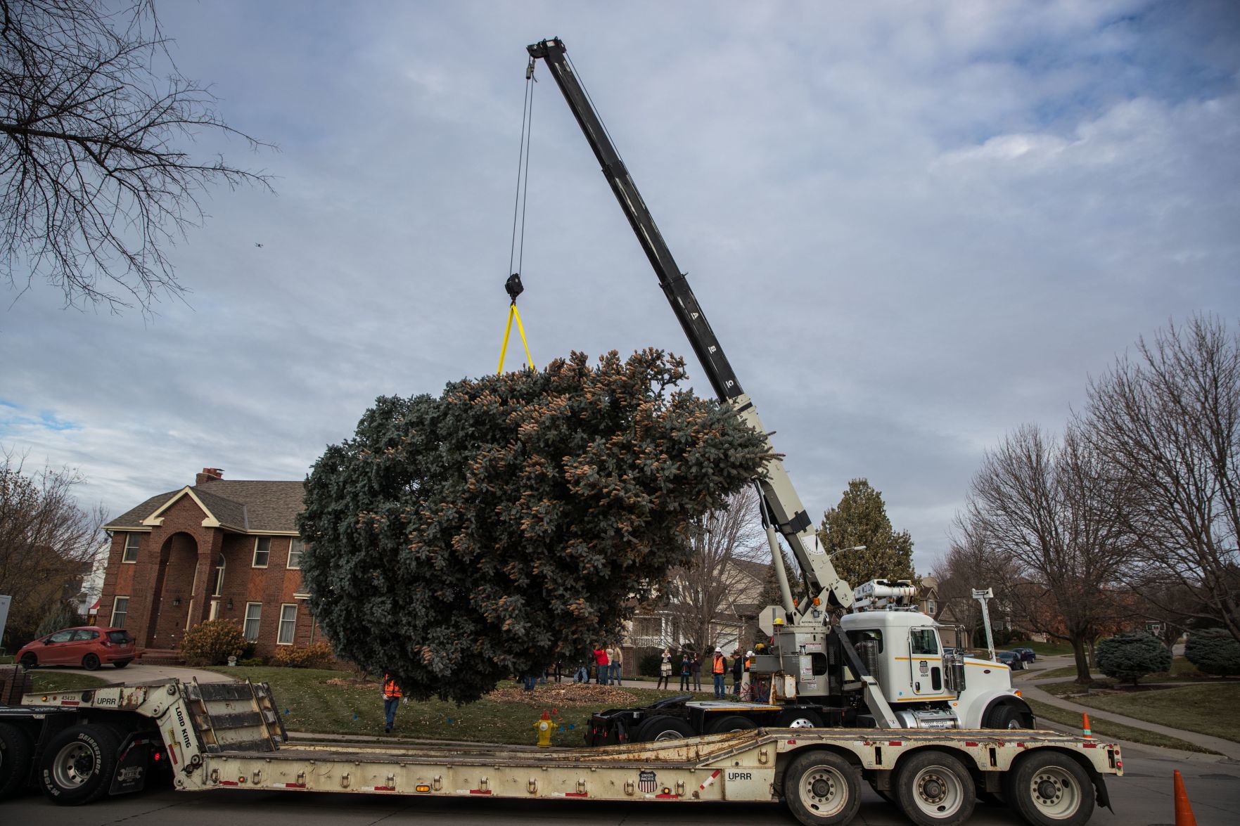 The Durham Museum's 2019 Christmas tree